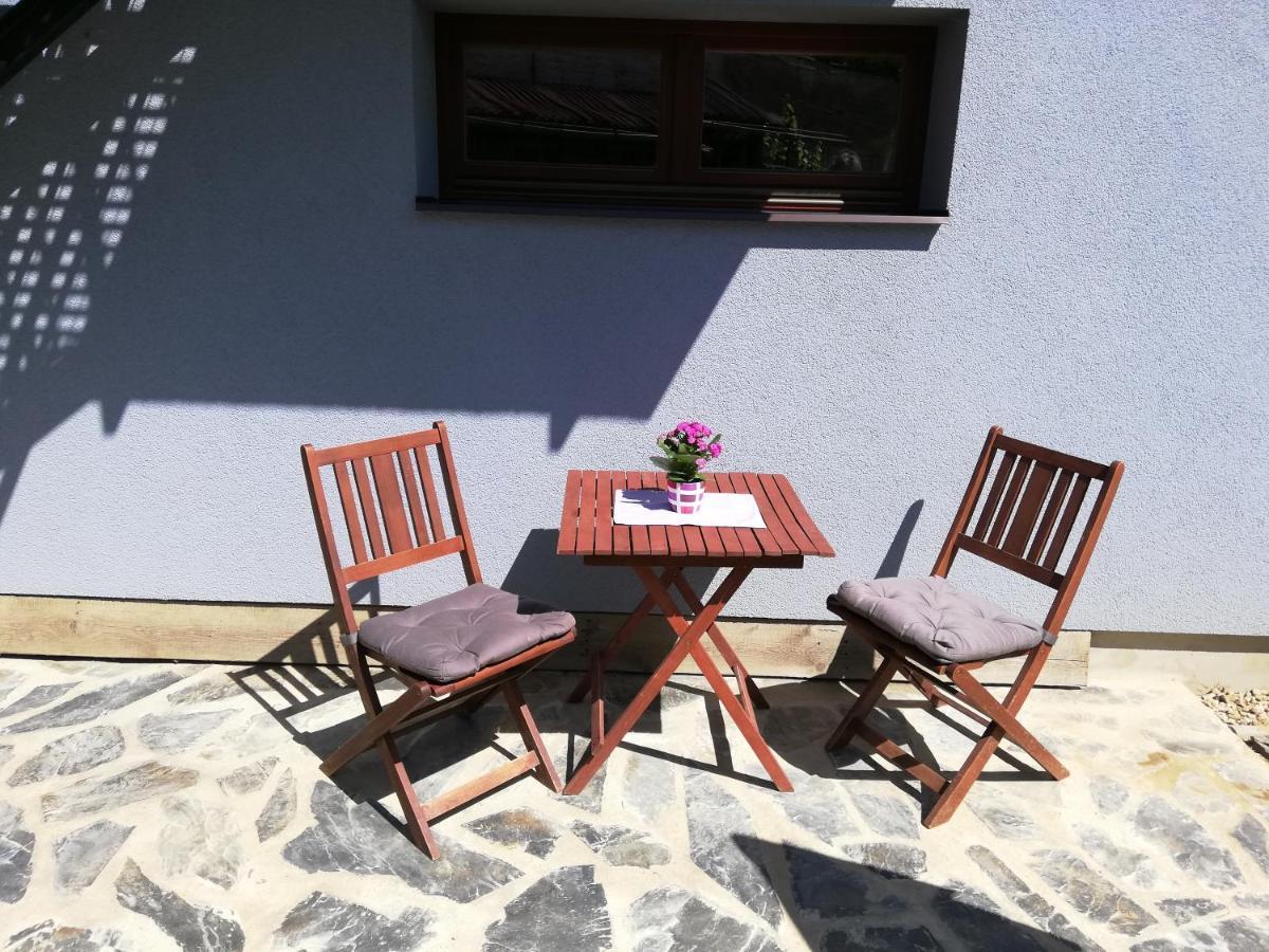 U Kartouzky Apartment *